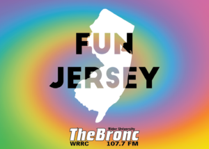 Fun Jersey Logo new